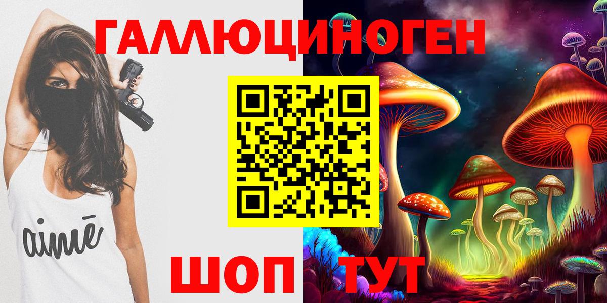 Псилоцибиновые грибы Cubensis Саров