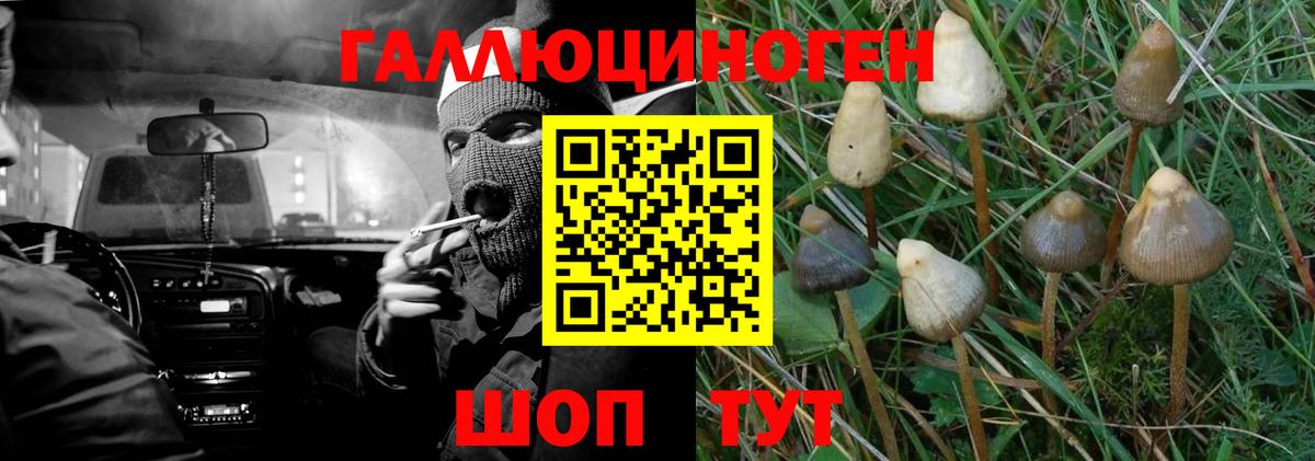 Псилоцибиновые грибы Magic Shrooms  Вход с VPN  Галлюциногенные грибы Psilocybine cubensis  Саров 